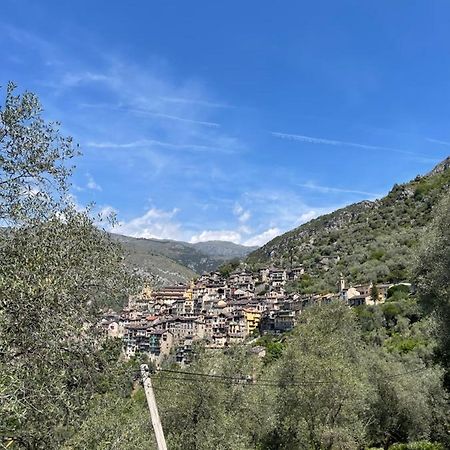 Appartement Cocooning Saorge Bagian luar foto