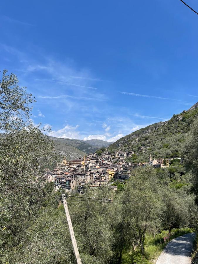 Appartement Cocooning Saorge Bagian luar foto